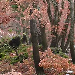 Bauernhof Boscoscuro Ragalna