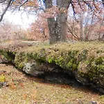 Boscoscuro Ragalna
