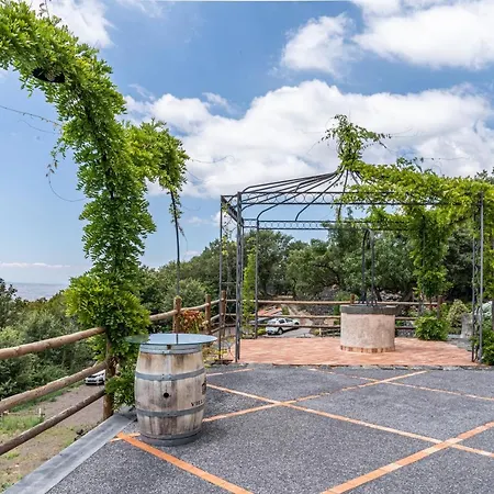Boscoscuro Farm stay