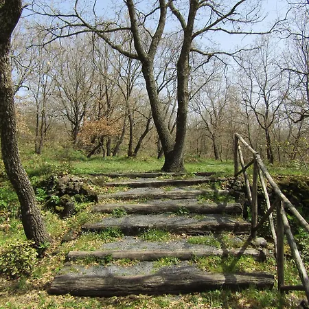 Boscoscuro Farm stay