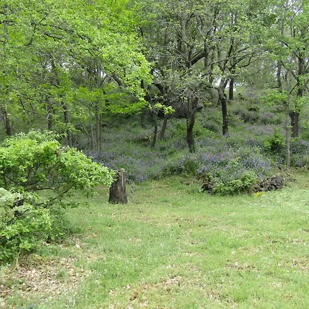 Boscoscuro Farmház Ragalna