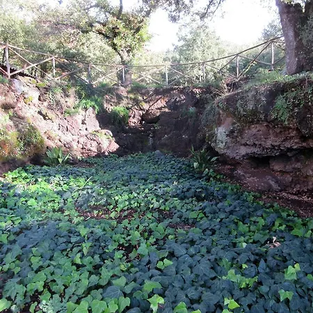 Farm stay Boscoscuro