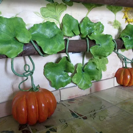 Farm stay Boscoscuro
