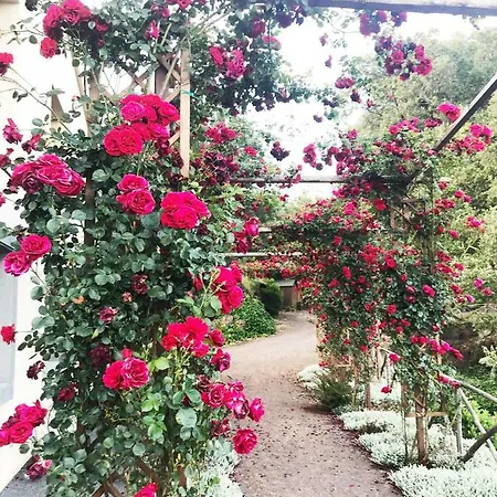 Lantgård Boscoscuro *