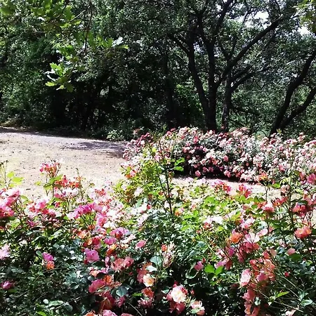 Boscoscuro Farm stay *