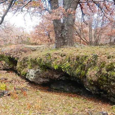 Boscoscuro Ragalna