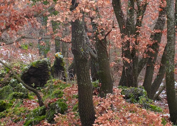 Farmház Boscoscuro Ragalna