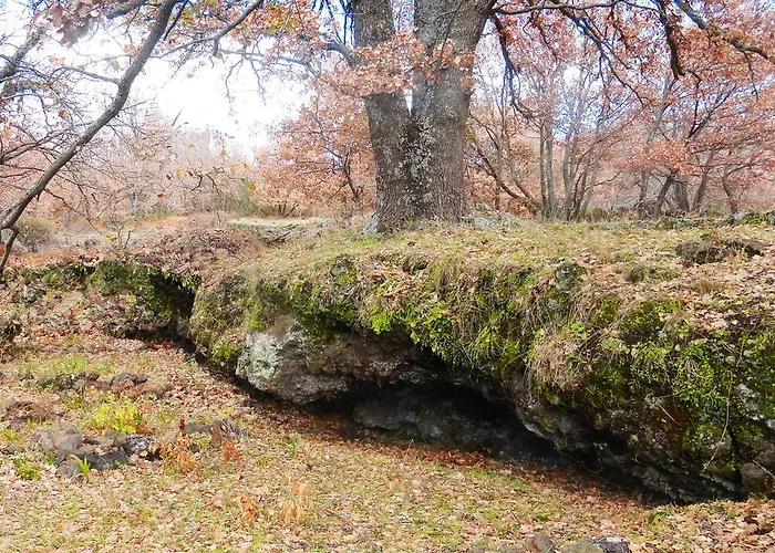 Boscoscuro Ragalna